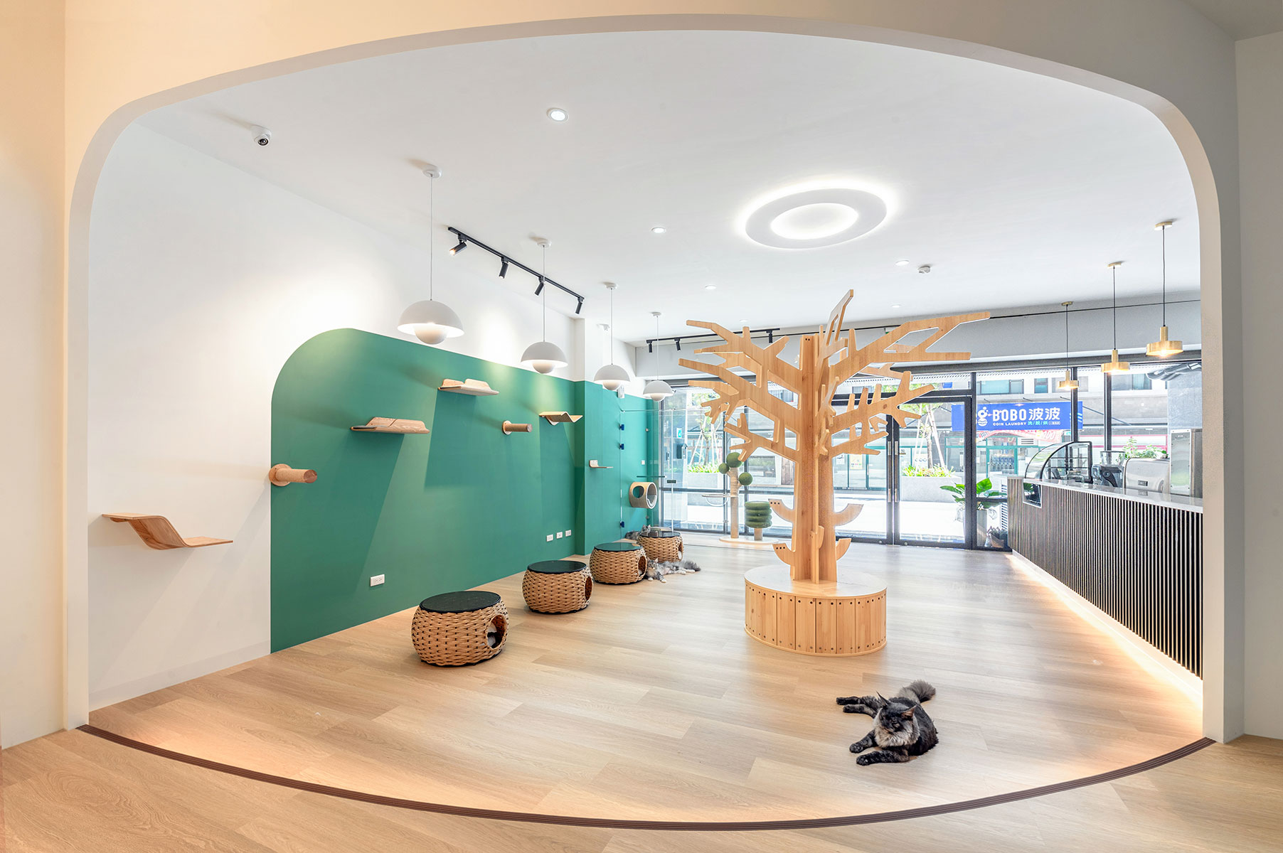 柒享作品喵覓咖啡用餐區設計-採取榻上閑坐方式，中央樹形貓爬架呼應室外綠意，塑造都市人與貓咪怡然自得的愜意場域。